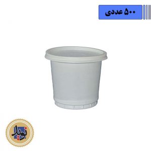 ظرف 900 رویا شیری