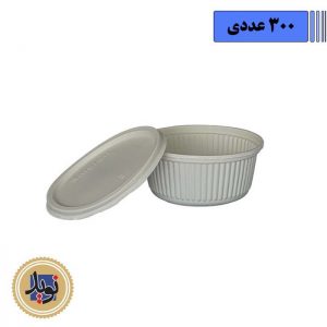 خورشتی 300 آملون با درب2
