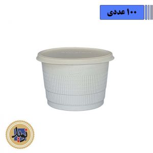 سطل 1800 آملون با درب