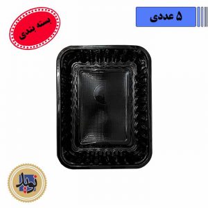 سلفی 102 مهرپارسا-بسته بندی3