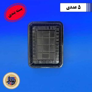 ظرف 301-بسته بندی 2