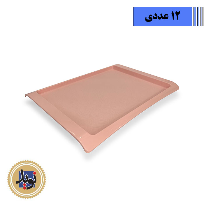 سینی فست فودی متوسط-(12عددی)