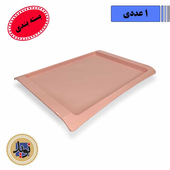 سینی فست فودی متوسط