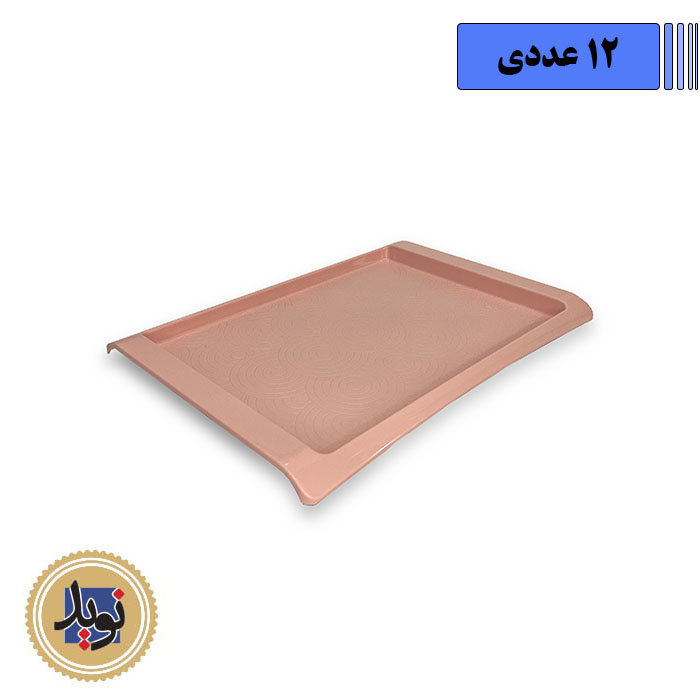 سینی فست فودی کوچک-(12عددی)