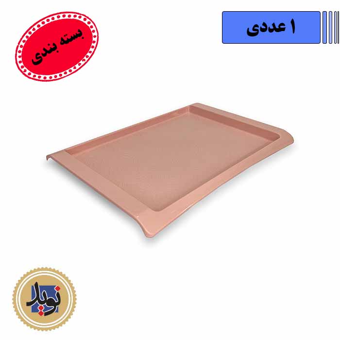 سینی فست فودی کوچک